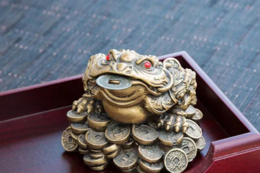 feng shui money frog